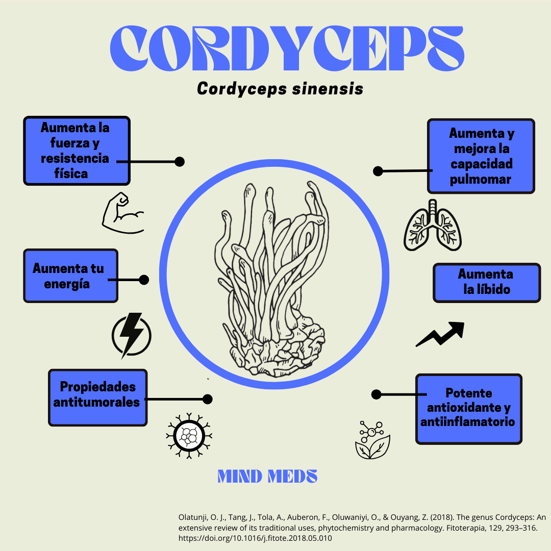 Cordyceps 50g 💪🏻