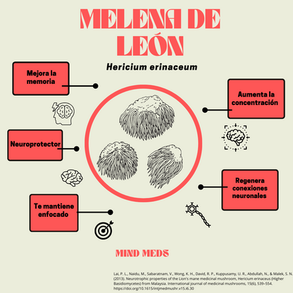 Melena de leon 50g 🧠